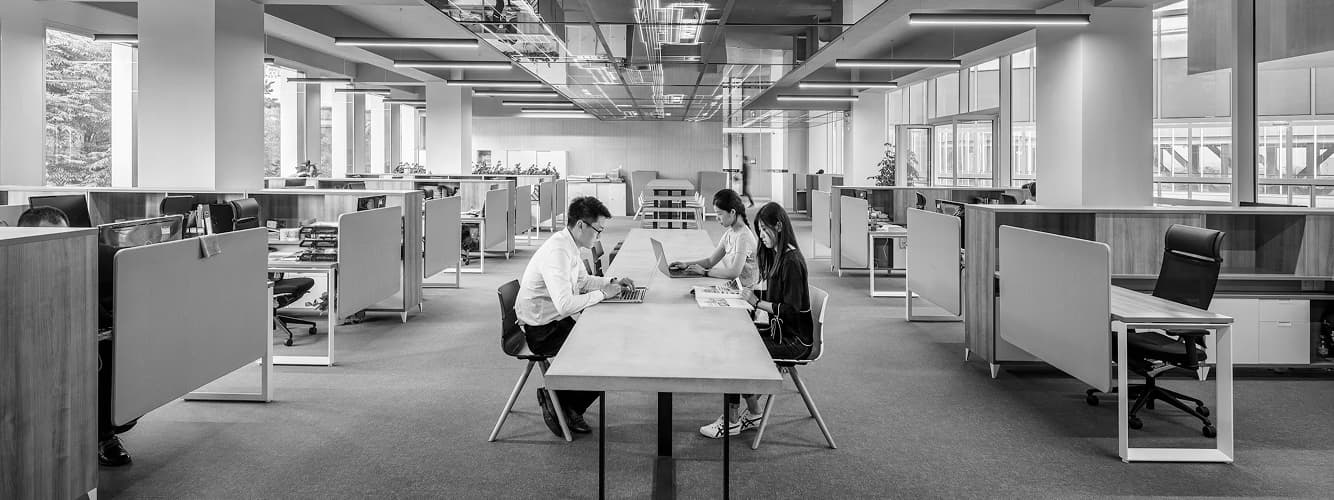Team Workspace